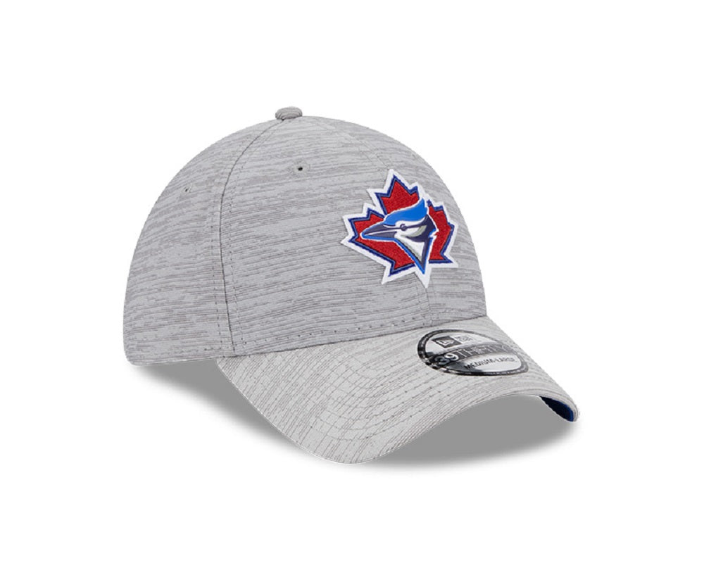 Men's MLB Toronto Blue Jays New Era 2023 Spring Training Authentic