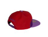 Men's Red and Purple Mitchell & Ness Hardwood Classics Sharktooth Toronto Raptors Snapback Hat