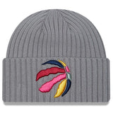 New Era NBA Toronto Raptors Color Pack Gray Cuffed Knit Hat