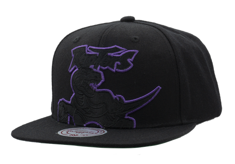 MEN'S 920 TORONTO RAPTORS OLD LOGO PURPLE SNAPBACK