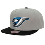 Mitchell & Ness MLB Toronto Blue Jays Away Coop Snapback - Grey