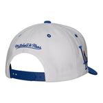 Los Angeles Dodgers MLB Mitchell & Ness Evergreen Pro Snapback Coop - White/Blue