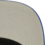 Los Angeles Dodgers MLB Mitchell & Ness Evergreen Pro Snapback Coop - White/Blue