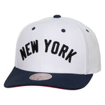 New York Yankees MLB Mitchell & Ness Evergreen Pro Snapback Coop - White/Blue