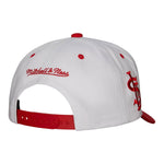 St. Louis Cardinals MLB Mitchell & Ness Evergreen Pro Snapback Coop - White