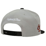 Baltimore Orioles MLB Mitchell & Ness Evergreen Snapback Coop - Grey