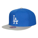 Los Angeles Dodgers MLB Mitchell & Ness Evergreen Snapback Coop - Blue