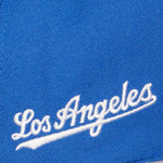 Los Angeles Dodgers MLB Mitchell & Ness Evergreen Snapback Coop - Blue