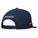 St. Louis Cardinals MLB Mitchell & Ness Evergreen Snapback Coop - Navy