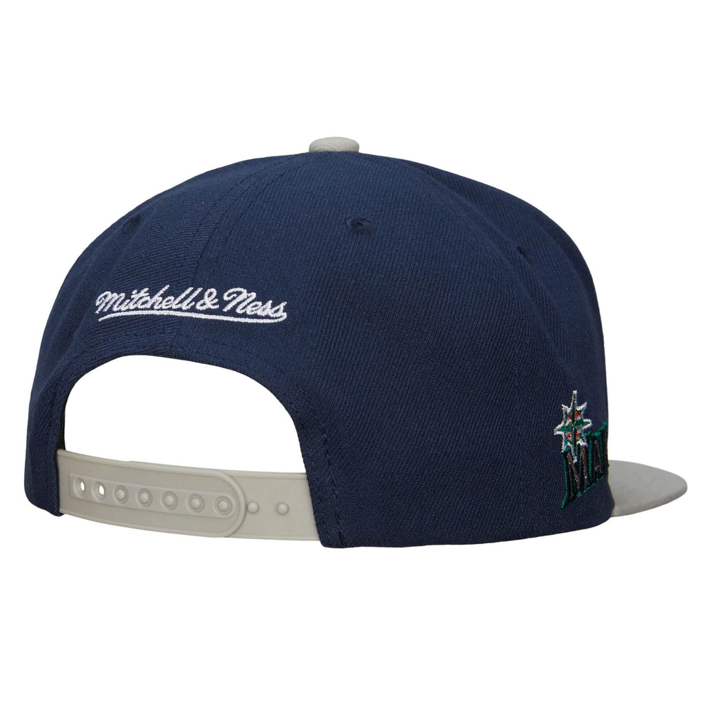 Mitchell & Ness Men New York Yankees Evergreen Coop Snapback Hat