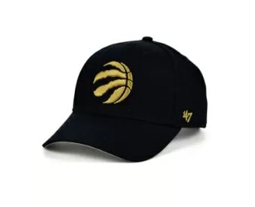 Raptors hat 47 online