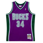 Ray Allen #34 Milwaukee Bucks Mitchell & Ness 2001-02 Swingman Jersey - Purple