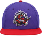 Mitchell & Ness Youth NBA Toronto Raptors Two-Tone Dino Adjustable Snapback Hat - Purple/Red