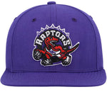 Mitchell & Ness Youth NBA Toronto Raptors Dino Team Ground 2.0 Adjustable Snapback Hat - Purple