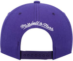 Mitchell & Ness Youth NBA Toronto Raptors Dino Team Ground 2.0 Adjustable Snapback Hat - Purple