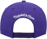 Mitchell & Ness Youth NBA Toronto Raptors Dino Team Ground 2.0 Adjustable Snapback Hat - Purple