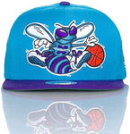 Men's Charlotte Hornets Big Logo Mitchell & Ness Teal/Purple Two-Tone Wool Snapback Hat