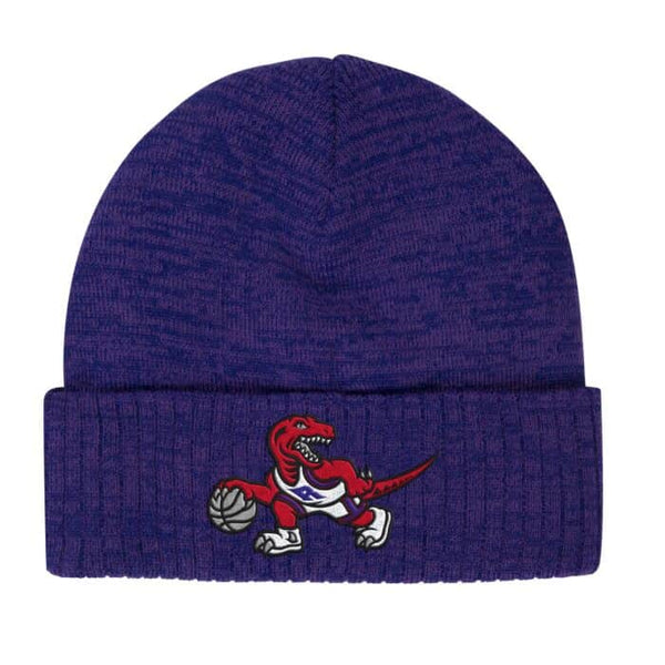 Raptors winter hat on sale